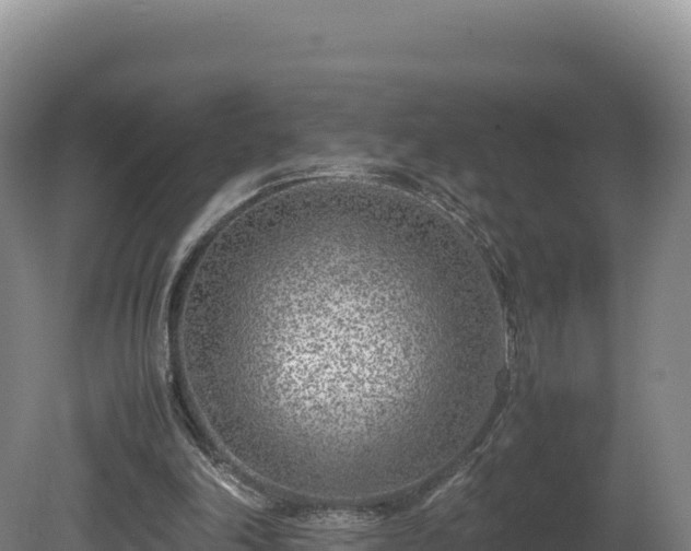 X0000081450198200701191722