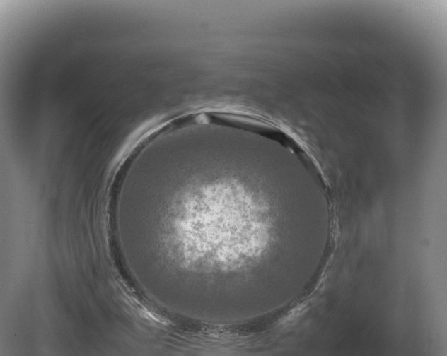 X0000081450199200701191722