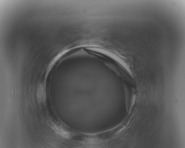 X0000081450200200701191722