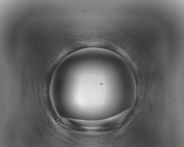 X0000081450201200701191722