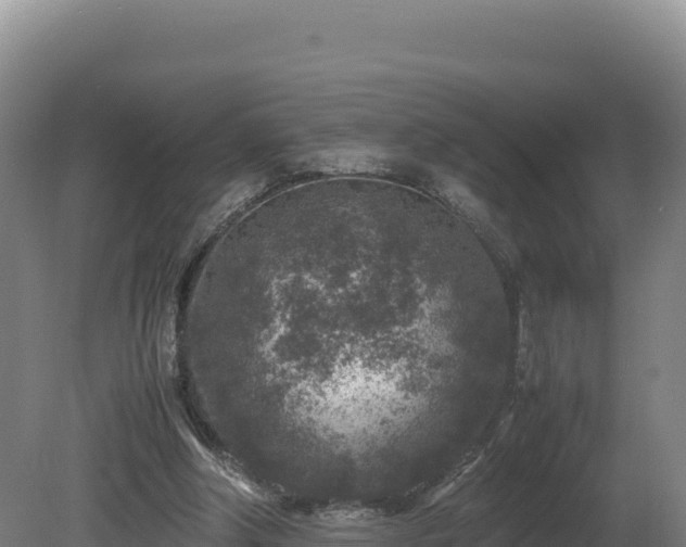 X0000081450202200701191722