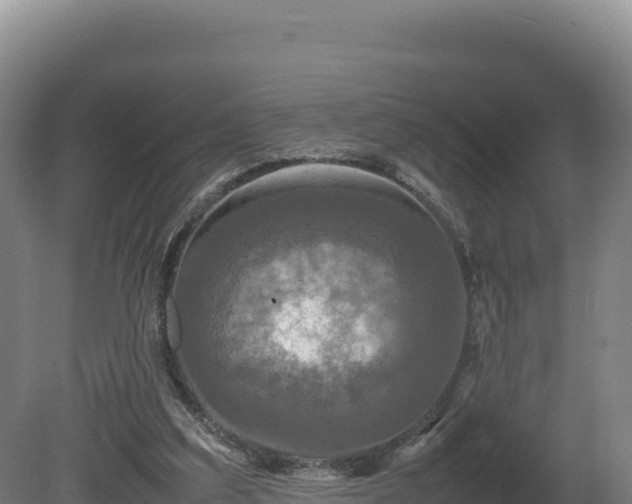 X0000081450203200701191722