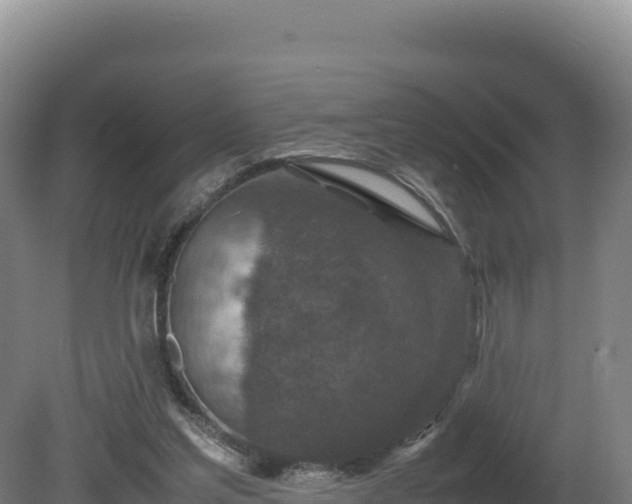 X0000081450205200701191722