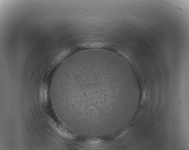 X0000081450206200701191722