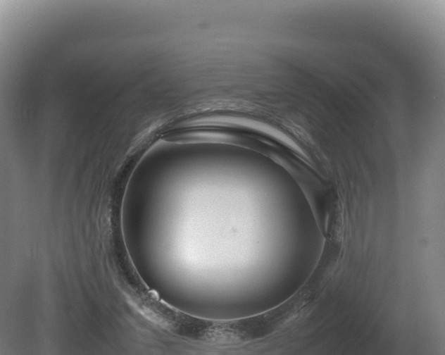 X0000081450207200701191722