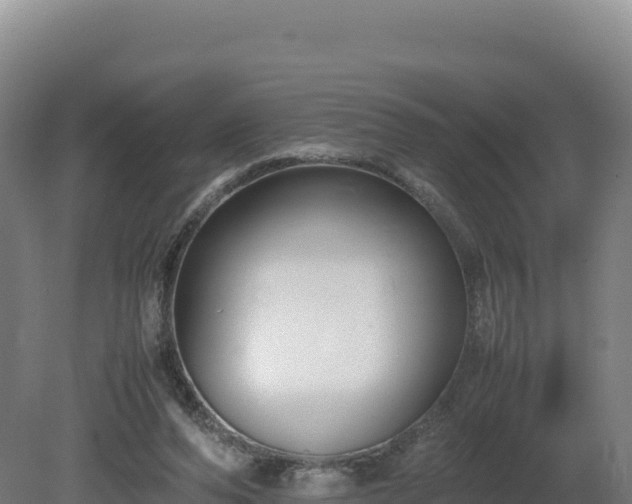 X0000081450208200701191722