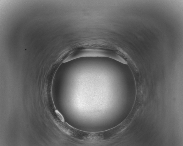 X0000081450209200701191722