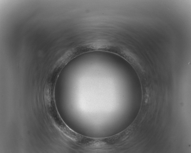 X0000081450210200701191722