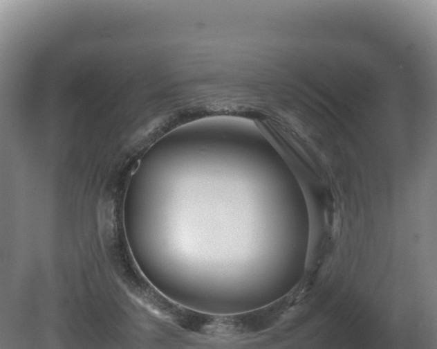 X0000081450211200701191722