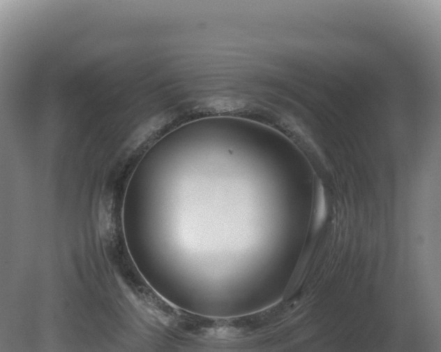 X0000081450212200701191722