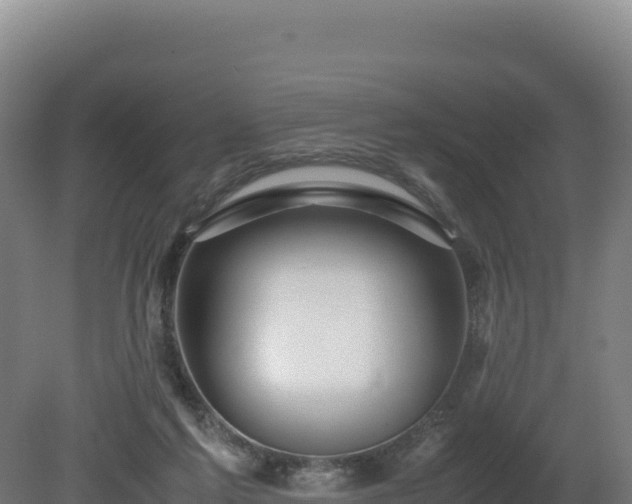 X0000081450213200701191722