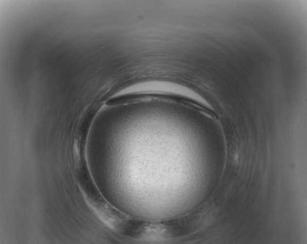 X0000081450214200701191722