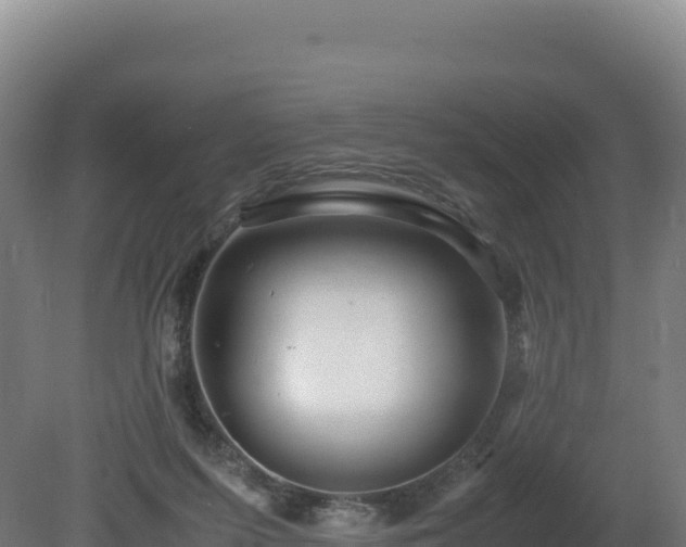 X0000081450215200701191722