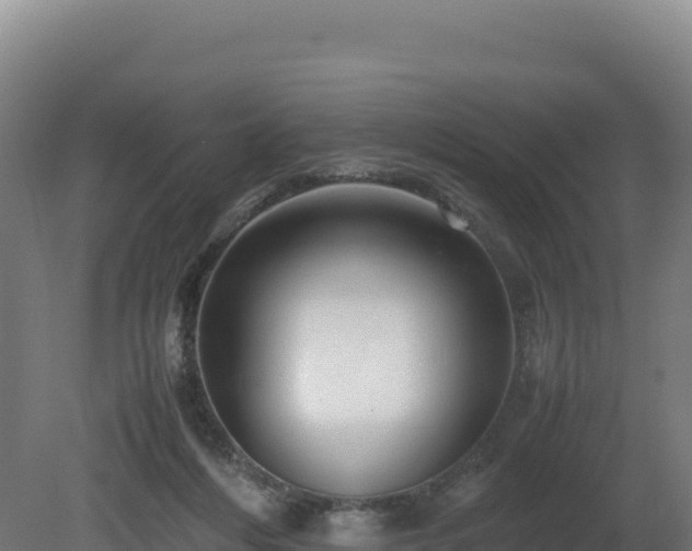 X0000081450216200701191722