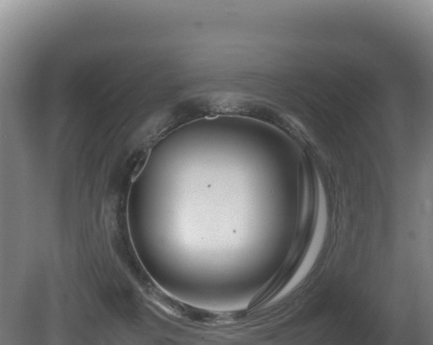 X0000081450217200701191722