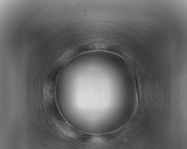 X0000081450218200701191722