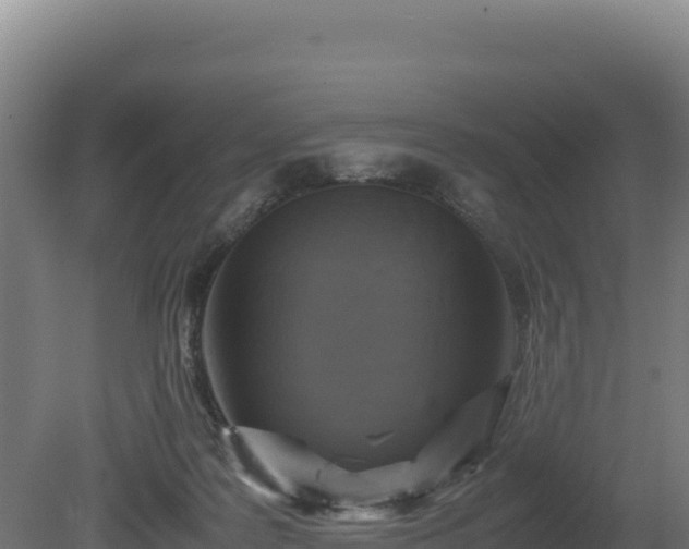 X0000081450219200701191722