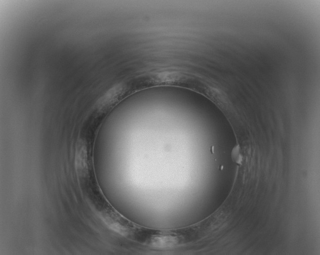 X0000081450220200701191722