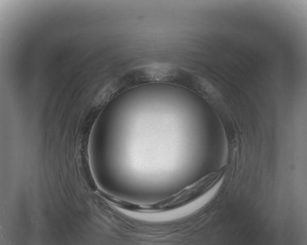 X0000081450221200701191722