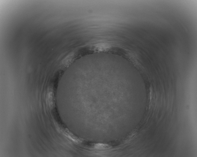 X0000081450222200701191722