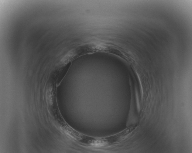 X0000081450223200701191722