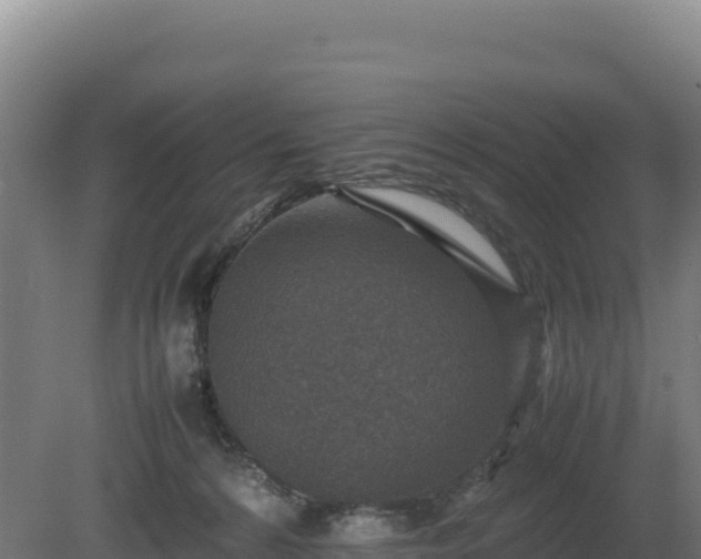 X0000081450224200701191722