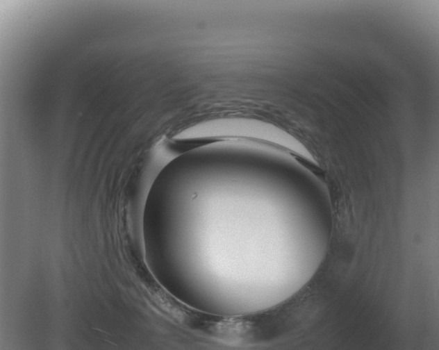 X0000081450225200701191722