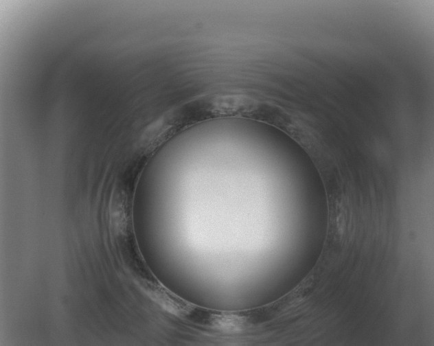 X0000081450226200701191722