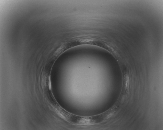 X0000081450227200701191722