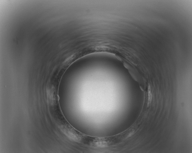 X0000081450228200701191722