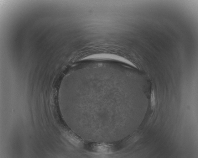 X0000081450229200701191722