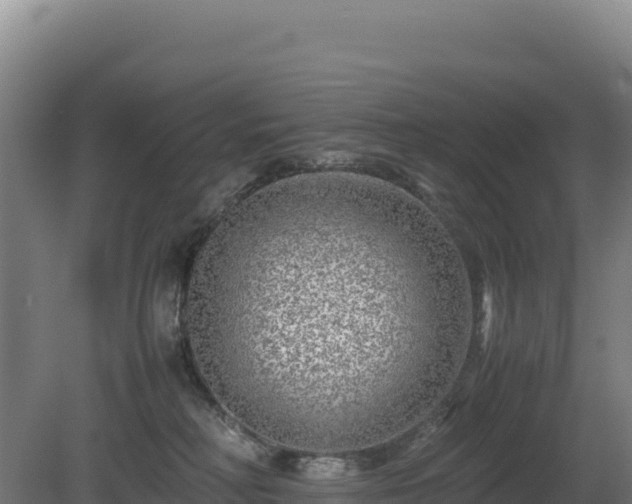 X0000081450230200701191722