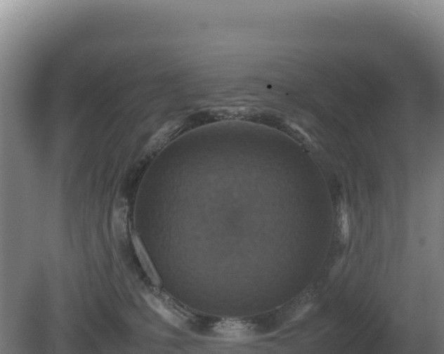 X0000081450231200701191722