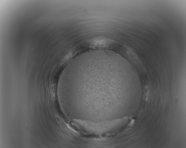 X0000081450232200701191722