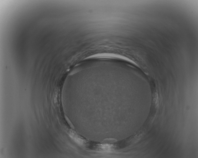 X0000081450233200701191722