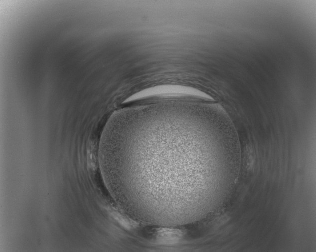 X0000081450234200701191722