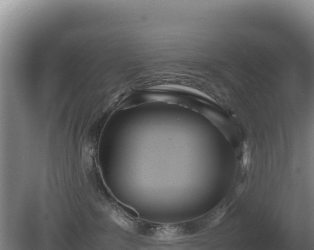 X0000081450235200701191722