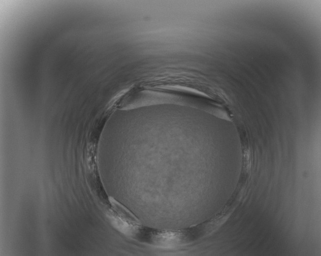 X0000081450237200701191722