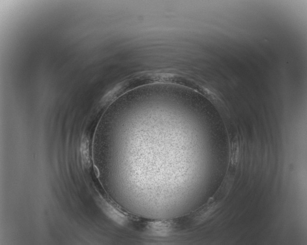 X0000081450238200701191722