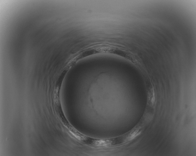 X0000081450239200701191722