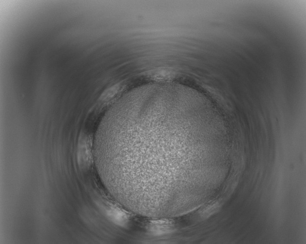 X0000081450240200701191722