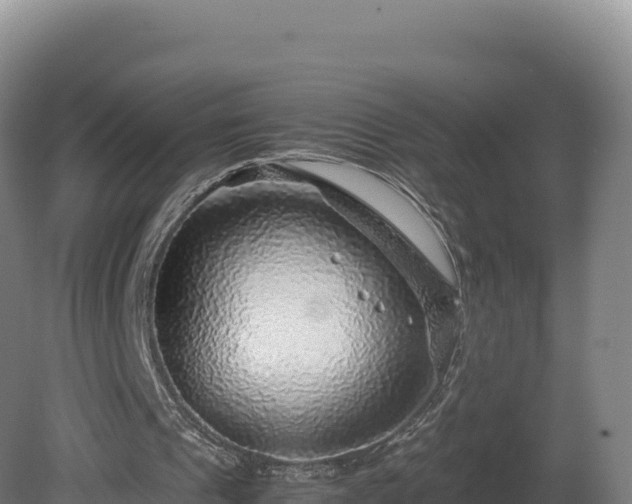 X0000081450241200701191721