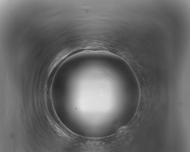 X0000081450242200701191721