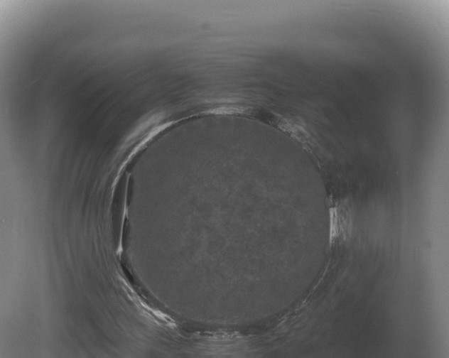 X0000081450243200701191721