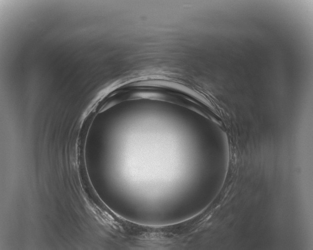 X0000081450244200701191721