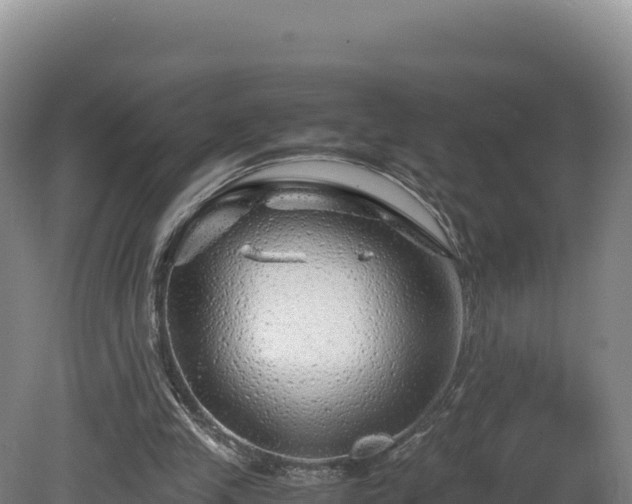 X0000081450245200701191721