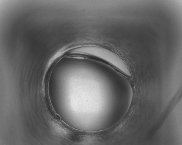 X0000081450246200701191721