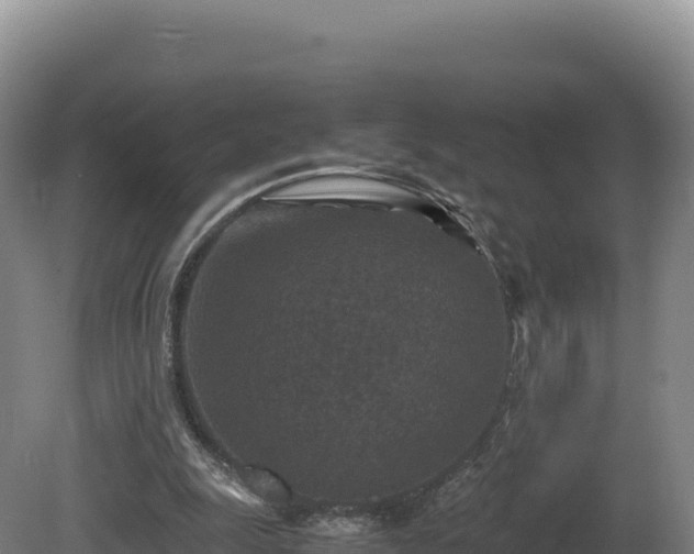 X0000081450247200701191721