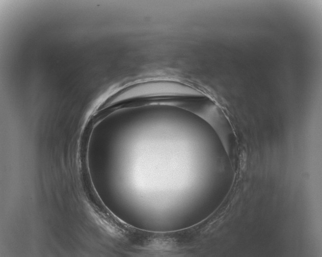 X0000081450248200701191721