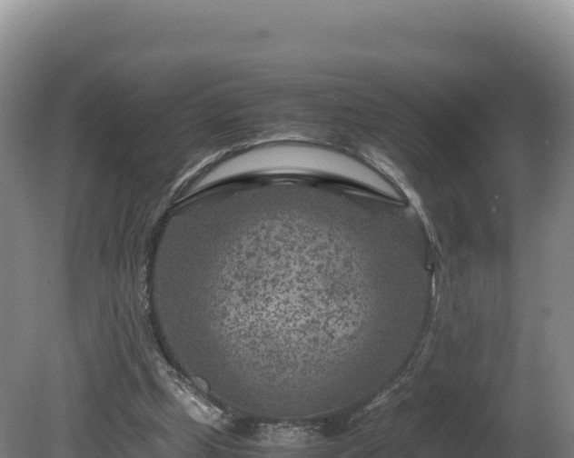 X0000081450249200701191721